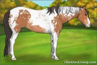 Horse Color:Bay Tobiano Varnish 