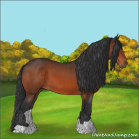 Horse Color:Brown 
