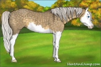 Horse Color:Silver Smoky Grullo Splash 