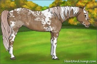 Horse Color:Silver Black Splash Tobiano 