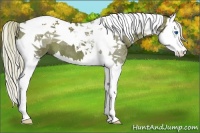 Horse Color:Silver Black Splash Tobiano 
