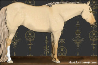 Horse Color:Palomino Dun 