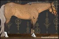 Horse Color:Silver Buckskin Dun 