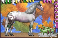 Horse Color:Watercolor White Spotted Silver Brown Ice Sabino Blanket 