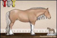 Horse Color:Silver Black Pearl Tobiano Rabicano 