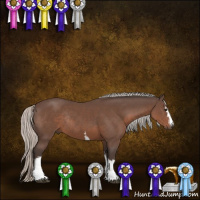 Horse Color:White Spotted Silver Black Sabino Rabicano 