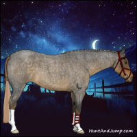 Horse Color:Chocolate Palomino Roan 