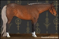 Horse Color:Silver Buckskin 