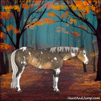 Horse Color:White Spotted Silver Smoky Black Splash 