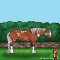 Horse Color:White Spotted Silver Brown 