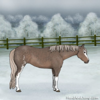 Horse Color:White Spotted Silver Black 