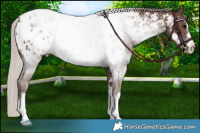 Horse Color:Silver Black Near Leopard 