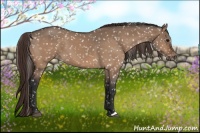 Horse Color:Bay Dun Snowflake Varnish 
