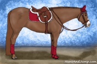Horse Color:Chestnut Frame