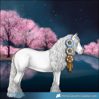 Horse Color:White Spotted Silver Grullo Sabino Appaloosa 