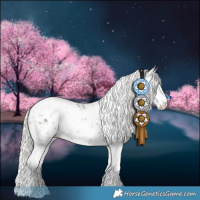 Horse Color:White Spotted Silver Grullo Sabino Blanket 