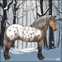 Horse Color:Silver Brown Dun Appaloosa 