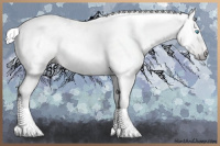 Horse Color:Gray White Spotted Silver Smoky Creme Dun Tobiano Blanket Brindle 