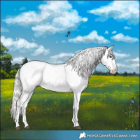 Horse Color:Silver Smoky Grullo Snowflake Varnish 