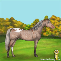 Horse Color:Silver Brown Dun Mushroom Appaloosa Brindle