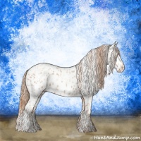 Horse Color:Gold Champagne Appaloosa  and Gold Champagne Appaloosa 