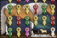 Horse Color:Silver Buckskin Splash Tobiano