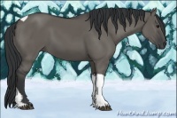 Horse Color:Grullo Tobiano 