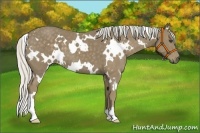 Horse Color:White Spotted Silver Smoky Black 