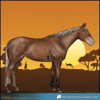 Horse Color:Gray Void Silver Black Pearl Tobiano 