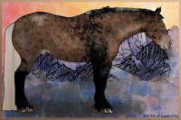 Horse Color:Gray Void Silver Black Pearl Tobiano