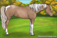 Horse Color:Silver Black Pearl Tobiano 