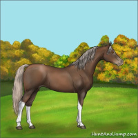 Horse Color:Gray Silver Black Pearl Tobiano