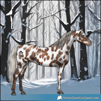 Horse Color:Gray Silver Black Pearl Tobiano Near Leopard 