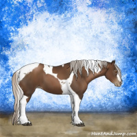 Horse Color:Gray Silver Black Pearl Tobiano