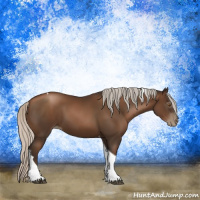 Horse Color:Gray Silver Black Pearl Tobiano