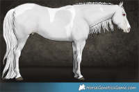 Horse Color:White Spotted Silver Black Chinchilla Pearl Tobiano 