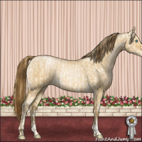 Horse Color:Buckskin Roan Pearl  and Gray Buckskin Roan Pearl 