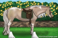 Horse Color:Silver Black Pearl Tobiano 