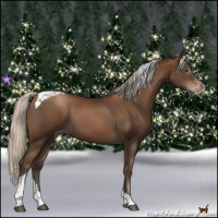 Horse Color:Gray Silver Black Pearl Tobiano 