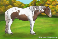 Horse Color:Gray Silver Black Pearl Tobiano