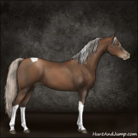 Horse Color:Gray Silver Black Pearl Tobiano