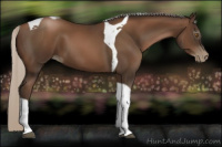 Horse Color:Gray Silver Black Pearl Tobiano 