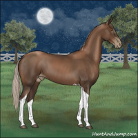 Horse Color:Gray Silver Black Pearl Tobiano 