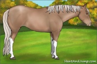Horse Color:Silver Black Pearl Tobiano 