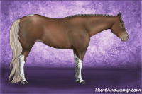 Horse Color:Gray Silver Black Pearl Tobiano