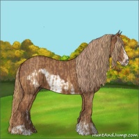 Horse Color:Chestnut  and Chestnut Frame 