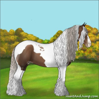 Horse Color:Gray Silver Black Pearl Tobiano