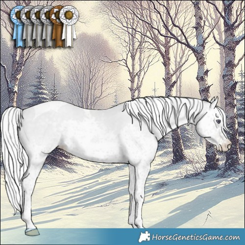 Horse Color:White Spotted Silver Black Chinchilla Pearl Splash Tobiano 