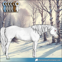 Horse Color:White Spotted Silver Black Chinchilla Pearl Splash Tobiano 
