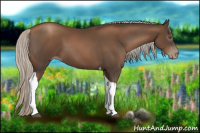 Horse Color:Gray Silver Black Pearl Tobiano 
